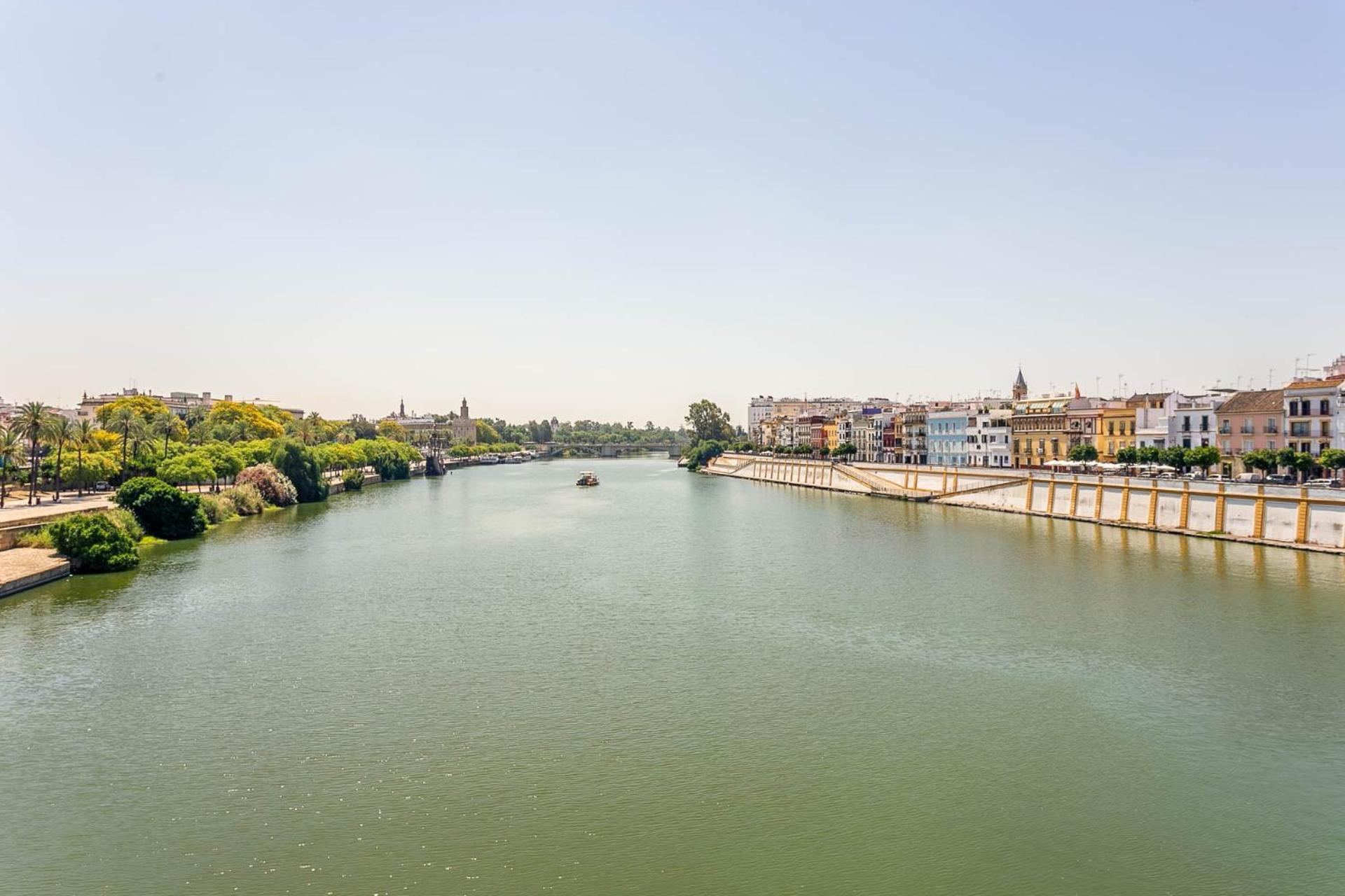 Apartamento La Estrella de Triana - encantador y bien situado Sevilla Exterior foto